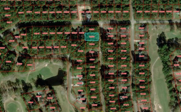 100 WILDWOOD DR, VILLAGE MILLS, TX 77663 - Image 17e0ca4d995e6ffc6febe48a0e066e02/1089782316