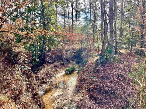 Photo of 00 Fm 83, BRONSON, TX 75930 (MLS # 264688)