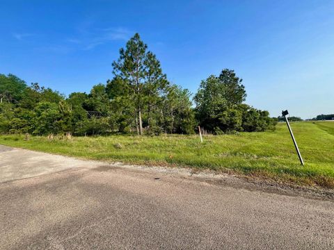 Photo of 2773 US Highway 96, Buna, TX 77612 (MLS # 267517)
