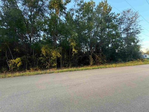 Photo of Gore store Road, Village Mills, TX 77663 (MLS # 271274)