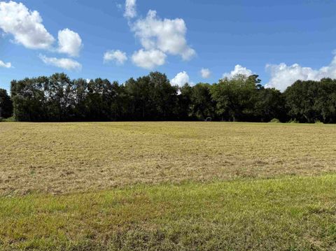 Photo of 875 Twin Bridges, Silsbee, TX 77656 (MLS # 264400)