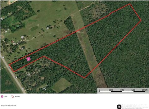 Photo of 15121 N Highway 87, Kirbyville, TX 75956 (MLS # 264424)