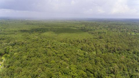 Photo of TBD Old Beaumont Highway, Silsbee, TX 77656 (MLS # 265810)