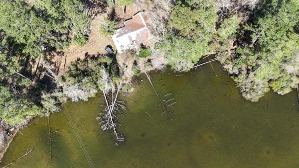 COUNTY RD 2119, BURKEVILLE, TX 75932 - Image 20d11e1bdb9d2afb86ca807ba0a76836/782839092