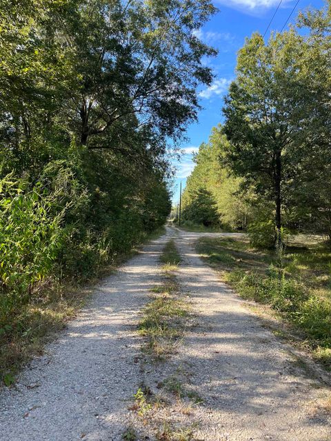 Photo of 12249 Hwy 12, Orange, TX 77632 (MLS # 262263)