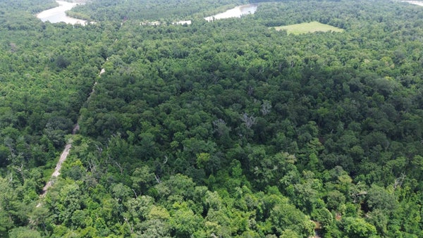 369 COUNTY RD 4240, BON WIER, TX 75928 - Image 20f92178381ce84cf88b2016c7d2a4db/1139533345