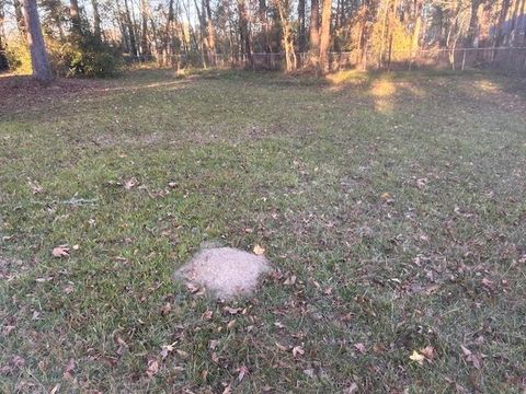 Photo of 3970 Proctor, Beaumont, TX 77705 (MLS # 263710)