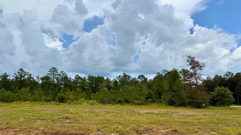 Photo of 13220 Blackberry Dr, Lumberton, TX 77657 (MLS # 264726)