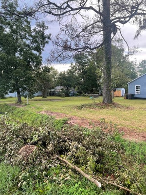 4515 BUFFALO ST, BEAUMONT, TX 77703 - Image 2ef412041190843bf7bfcd672b451454/808550870