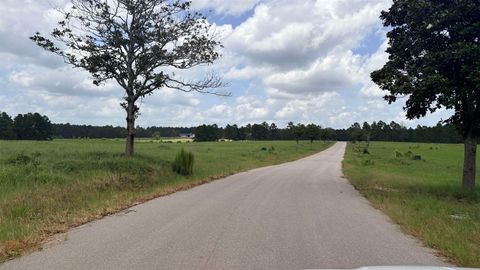 Photo of LOT 246 MEADOW VIEW DR, Hillister, TX 75979 (MLS # 268592)