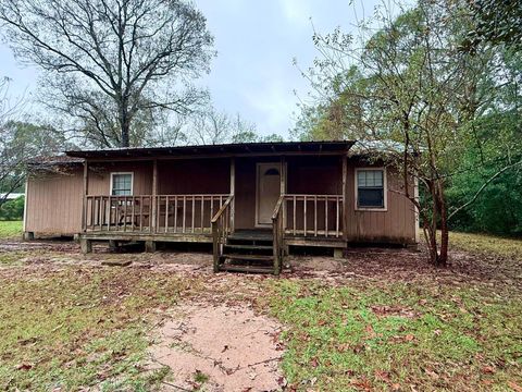 Photo of 828 County Road 4550, Spurger, TX 77660 (MLS # 263502)