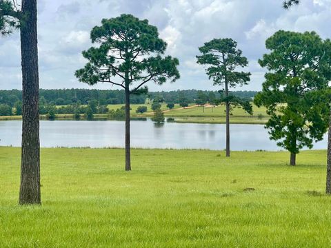 Photo of Lot 234 Lakeland Ranch, Hillister, TX 77624 (MLS # 264721)
