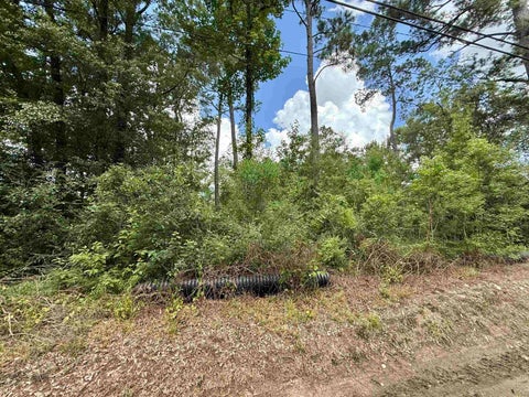 Photo of 1030 Butler, Vidor, TX 77662 (MLS # 268455)