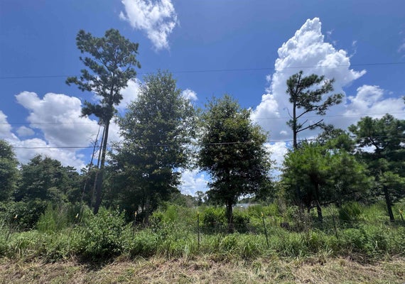 426 COUNTY ROAD 1420, WARREN, TX 77664 - Image 36a3fef7a2c1733111162f160fbba2ba/1274398659