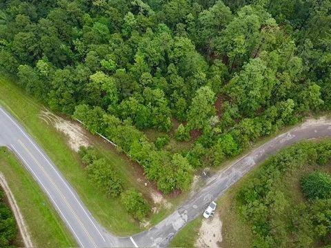 Photo of 121 Champions Way, Brookeland, TX 75931 (MLS # 264378)