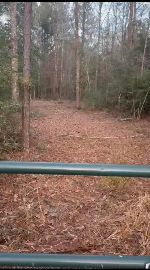 Photo of 15671 Texas 87, Kirbyville, TX 75956 (MLS # 266676)