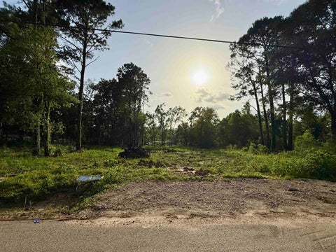 Photo of 11895 Cooks Lake Rd., Lumberton, TX 77657 (MLS # 271502)