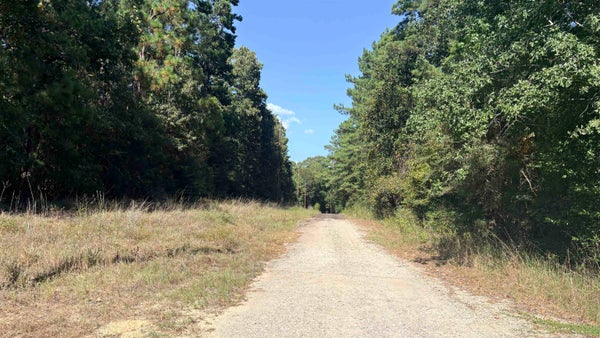 28 25TH ST, WOODVILLE, TX 75979 - Image 3bdc063ffa0ff94fbeba6c22d56c532d/285943974