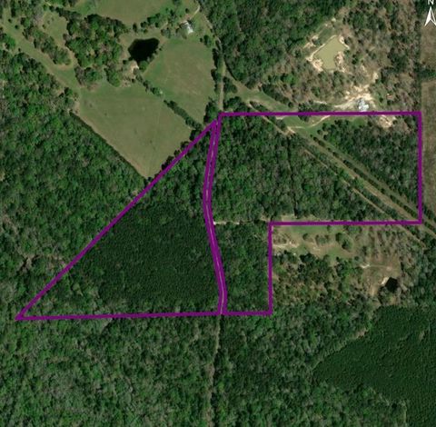 Photo of TBD Old White Oak Rd, Thicket, TX 77374 (MLS # 267538)