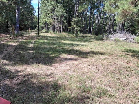 Photo of 140 Private Rd 8061, Call, TX 75933 (MLS # 271523)