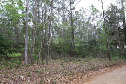 Photo of TBD Katherine Dr, Woodville, TX 75979 (MLS # 266275)