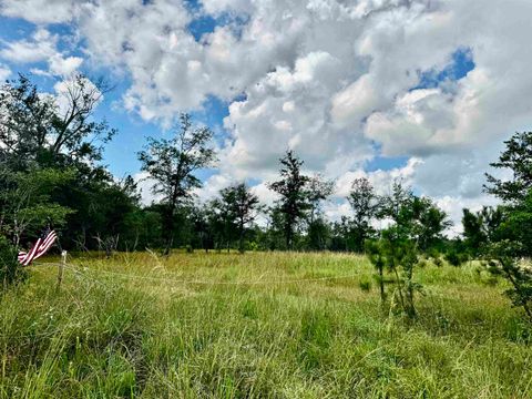 Photo of 8982 FM 2246, Buna, TX 77612 (MLS # 264215)