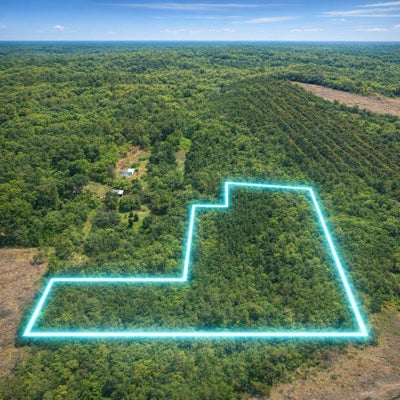 133 PRIVATE ROAD 7630, CALL, TX 75933 - Image 42a0e8e692c0a180c3fb32d2cf7f3b38/1261773342