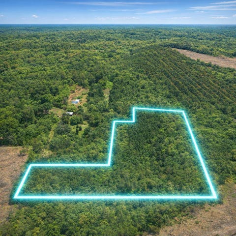 Photo of 12.079AC Private Road 7630, Call, TX 75933 (MLS # 270105)
