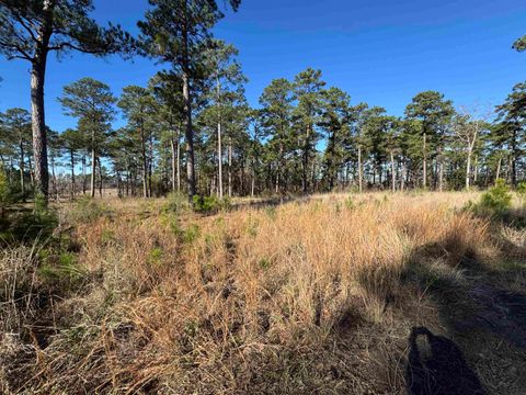 Photo of 020 Private Road 6028, Brookeland, TX 75931 (MLS # 264266)