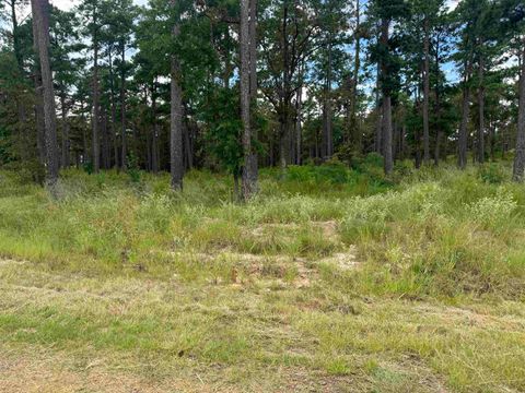 Photo of 033 Private Road 6026, Brookeland, TX 75931 (MLS # 264677)