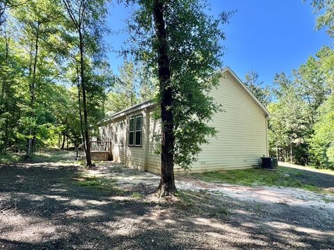 Photo of 2505 County Road 4420, Spurger, TX 77660 (MLS # 268313)