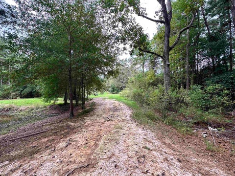 Photo of 620 Cr 4880, Fred, TX 77616 (MLS # 271770)