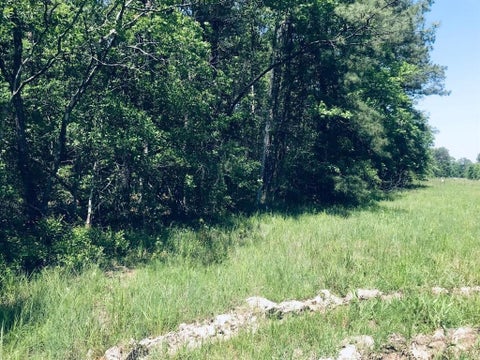 Photo of Lots 23-25 Eva Rd, Orange, TX 77632 (MLS # 271683)