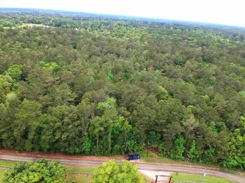 Photo of 16.7 Acres Co Rd 1375, Warren, TX 77664 (MLS # 266953)