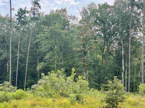 Photo of 3855 Farm Market 420, Kountze, TX 77625 (MLS # 264499)