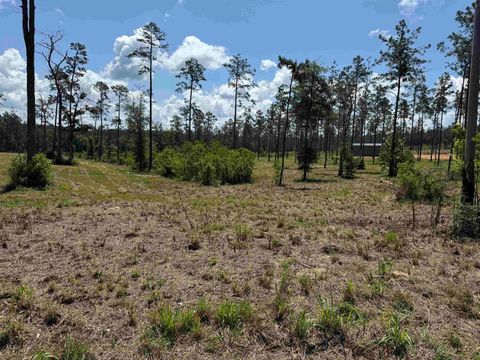 Photo of 085 Private Road 6028, Brookeland, TX 75931 (MLS # 264759)