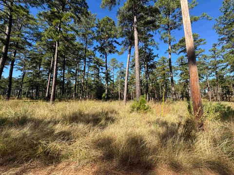 Photo of 065 Private Road 6028, Brookeland, TX 75931 (MLS # 264758)