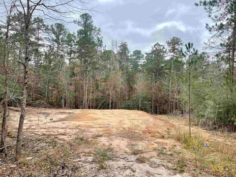 Photo of 145 Aztec Lane, Brookeland, TX 75931 (MLS # 262318)