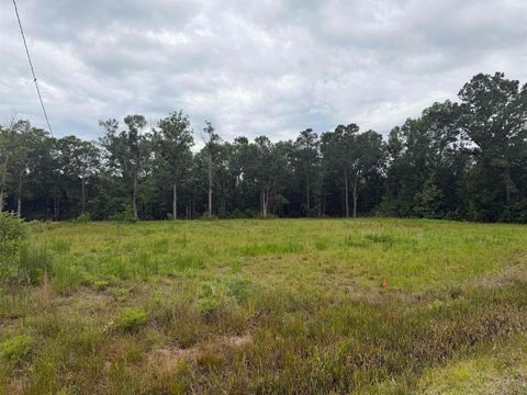 Photo of 210 Shenandoah Road, Vidor, TX 77662 (MLS # 268186)