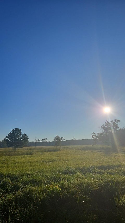 Featured picture for the property 264544