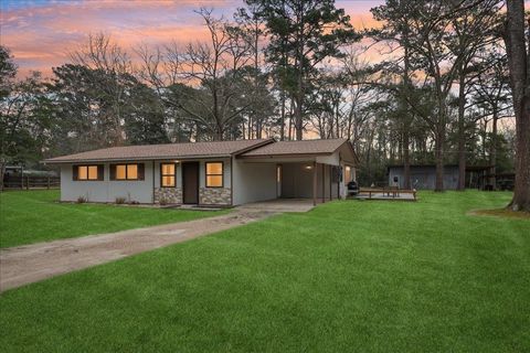 Property photo of 262 County Road 165, Jasper, TX 75951