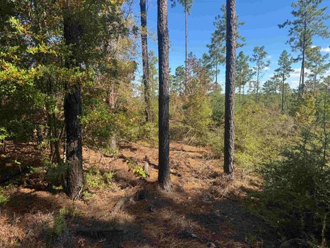 Photo of 094 Private Road 6028, Brookeland, TX 75931 (MLS # 264766)