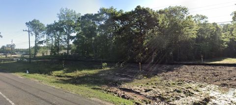 Photo of 13760 N Hwy 69, Village Mills, TX 77663 (MLS # 259967)