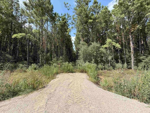 Photo of 5700 Black Cat, Sour Lake, TX 77659 (MLS # 270473)