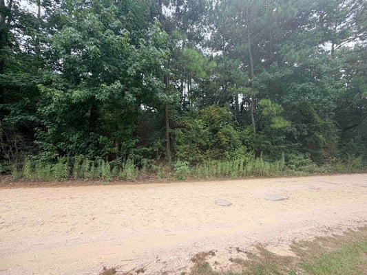 IVANHOE DR E, WOODVILLE, TX 75979 - Image 5dca83248d7b882ea85af27c3ffa1017/604732371