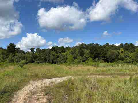 Photo of 000 Pr 8147, Buna, TX 77612 (MLS # 270225)