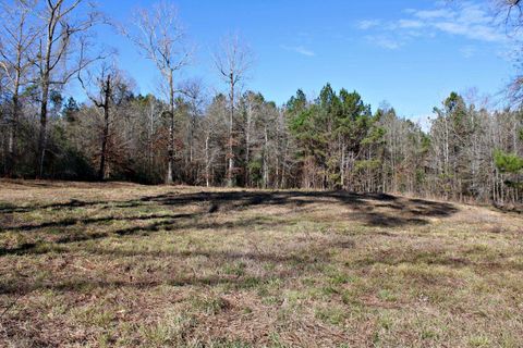 Photo of pid 112679 County Road 1058, Wiergate, TX 75977 (MLS # 266064)