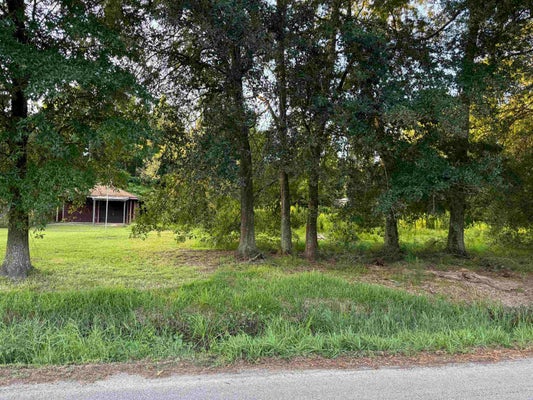 WILLOW BEND DR, VIDOR, TX 77662 - Image 67f255e204891869936c7a978b3ec2bf/2162105019