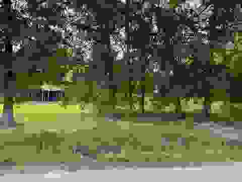 Photo of TBD Willow Bend, Vidor, TX 77662 (MLS # 270301)