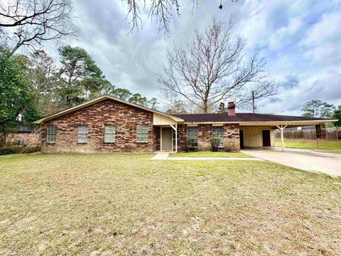 Photo of 923 N Nellius, Woodville, TX 75979 (MLS # 265361)
